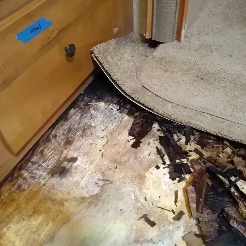 Best Wood Floor Water Damage Service in Catawissa, PA